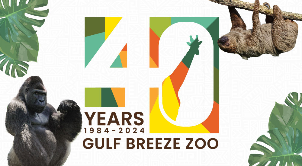 Gulf Breeze Zoo Celebrates 40th Anniversary