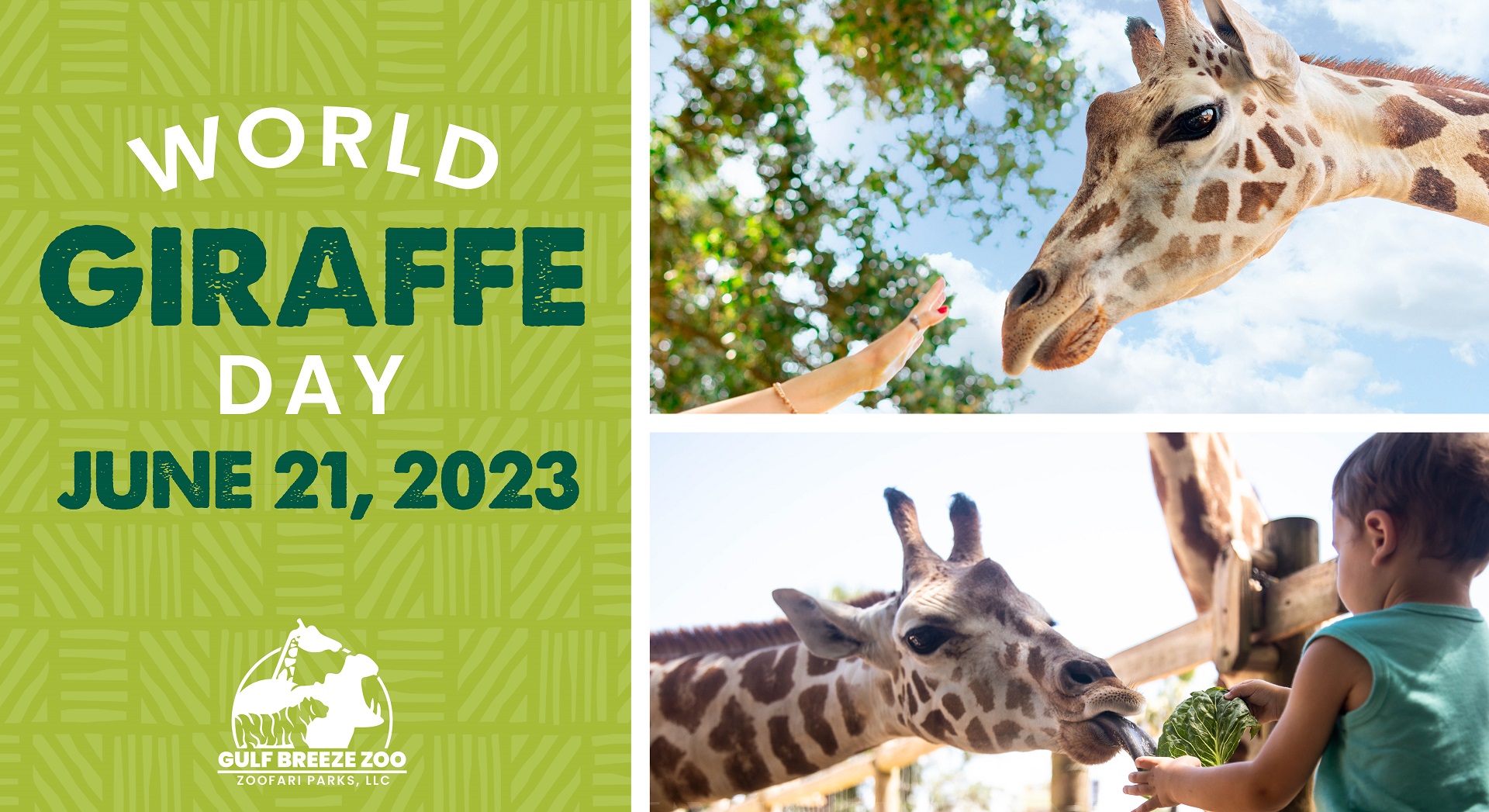 World Giraffe Day